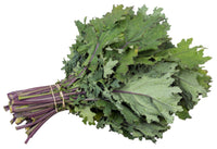 Brassica oleracea 200 Seeds - Russian Red Kale