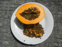 Carica papaya 30 Seeds - Papaya