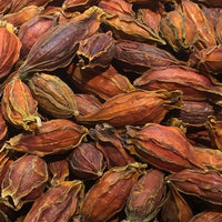 Gardenia jasminoides Seeds - Caps Jasmine