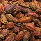 Gardenia jasminoides Seeds - Caps Jasmine