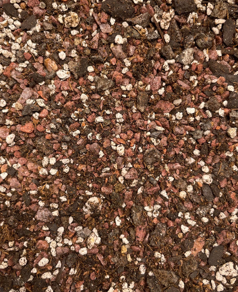 bonsai soil vs succulent soil Premium Cacti, Succulent, and Bonsai Soil Mix 1.3 gallons – thegardenofset